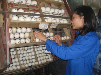 Điểm danh những bạn trẻ kiếm hàng chục triệu đồng/ tháng