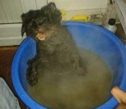 Phẫn nộ chàng trai đăng ảnh khoe 