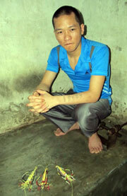 Mối tình đẹp kết thúc bằng án tử cho kẻ si tình