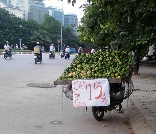Sự thực