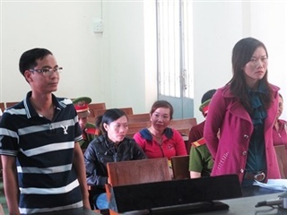 Chuyện cười ra nước mắt ở chốn pháp đình năm 2014