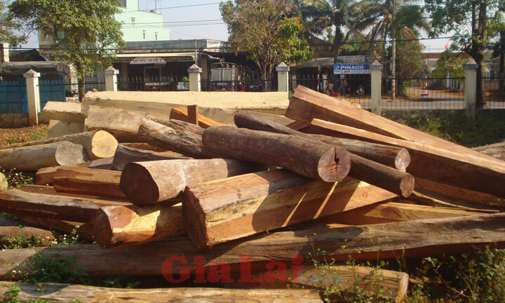 Bắt giữ 13m3 gỗ không rõ nguồn gốc tại Gia Lai