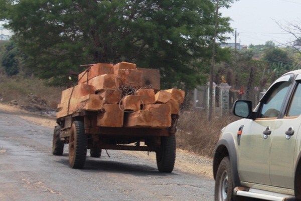 Gia Lai: Bắt giữ xe công nông vận chuyển 2m3 gỗ lậu