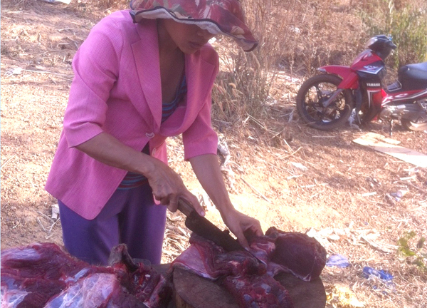 Tiếng kêu cứu của động vật hoang dã ở Tây Nguyên