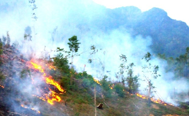 “Bà hỏa” thiêu rụi hơn 20ha rừng kinh tế ở Quảng Bình