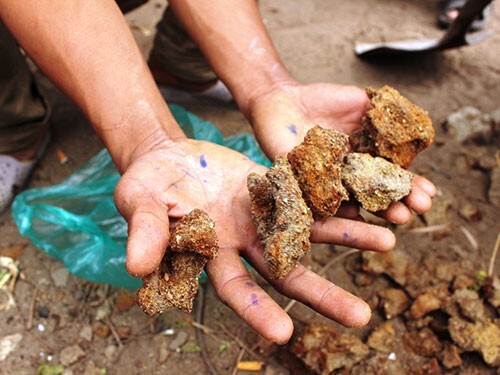 Vụ hố chôn tập thể ở Khánh Hòa: Phát hiện 25 bộ hài cốt