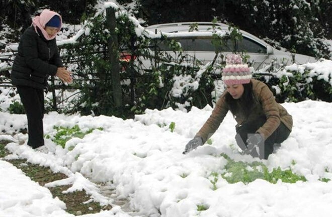 Từ nay đến Tết, miền Bắc có thể xuất hiện 1 - 2 đợt rét đậm, rét hại