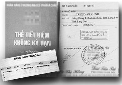 Dùng thẻ tiết kiệm giả số dư 72 tỷ đồng, rút mua 500 triệu USD