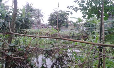 Bị bạn nghiện cắt cổ trong cơn ngáo đá 