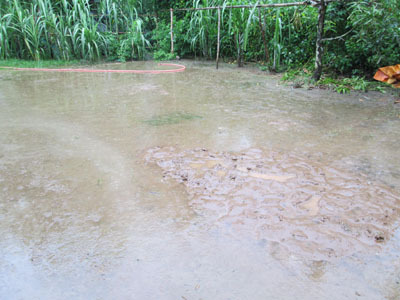 Bi kịch sau thảm án vì ... 10 ngàn đồng 