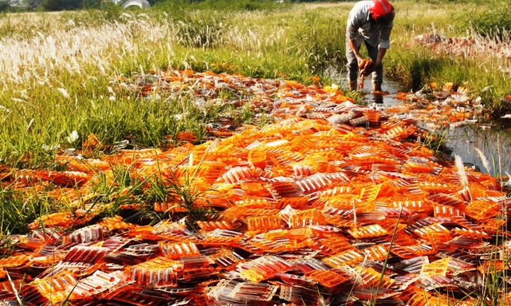 Vụ xả thuốc ra đồng: Công ty Intechpharm coi thường pháp luật