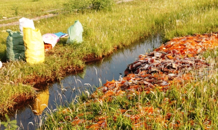 Phát hiện hàng tấn thuốc trẻ em giữa cánh đồng