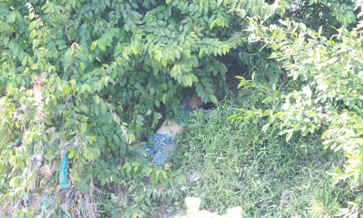 Bình Dương: Đi bắt cá phát hiện xác một phụ nữ bên bờ suối