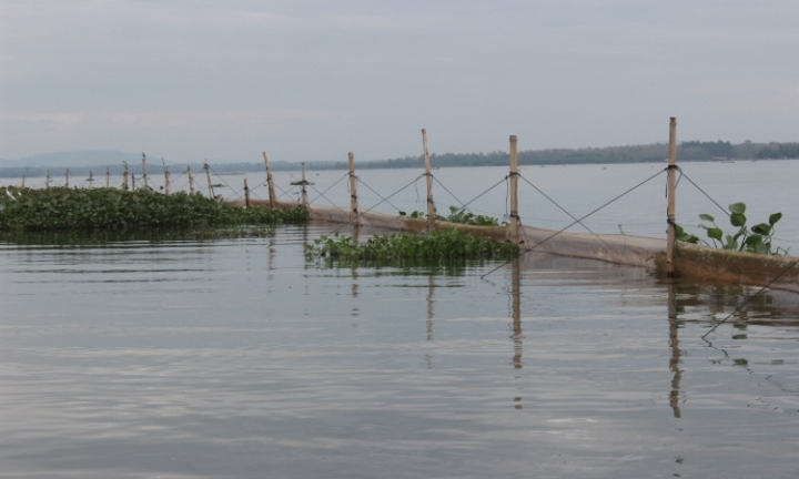 Đồng Nai: Uống thuốc diệt cỏ tự tử vì… lo lắng