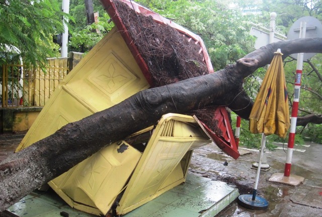 Thanh Hóa: Cây đổ đè bẹp bốt CSGT