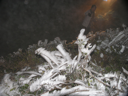 Chùm ảnh tuyết rơi dày hơn 10cm ở Sa Pa