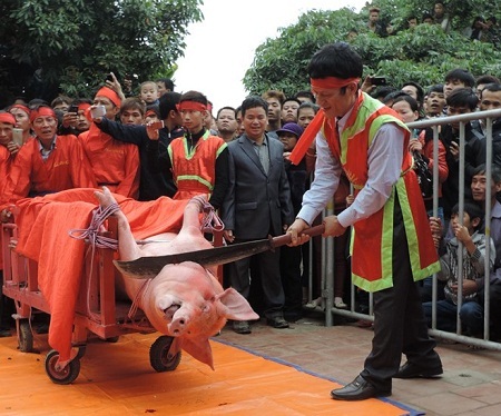 Tranh cãi