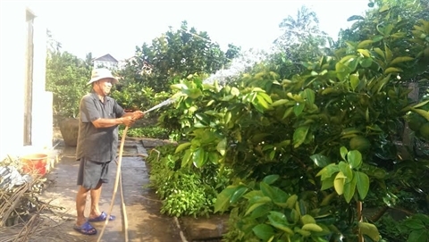 Thú vui của nguyên Phó Thủ tướng Trương Vĩnh Trọng