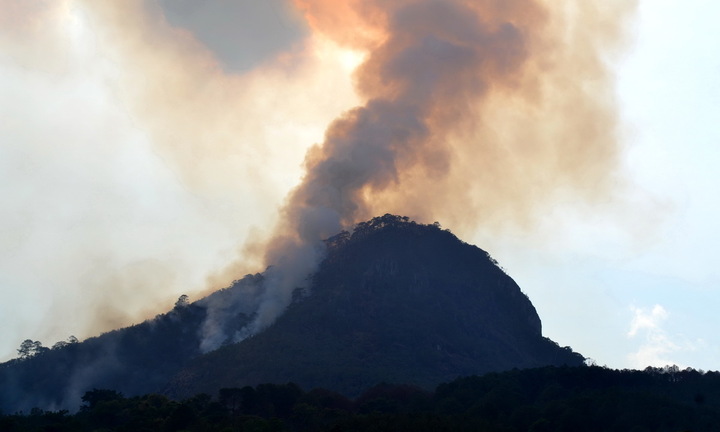 Liên tiếp xảy ra cháy rừng ở Lâm Đồng và TP.HCM