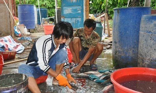 TQ chiêu dụ người dân sinh sống trái phép ở Hoàng Sa