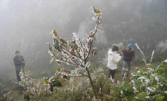 Dự báo thời tiết ngày 15/1: Vùng núi Bắc Bộ có thể xảy ra băng giá