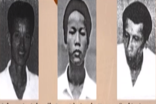 Truy nã đối tượng môi giới mại dâm, hiếp dâm trẻ em ngày 24/10