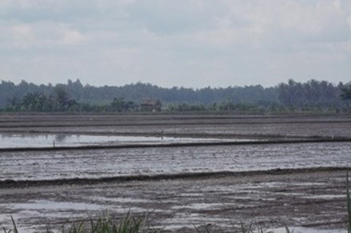 Ẩn ức quanh cái chết của cặp vợ chồng trẻ quấn nhau như sam