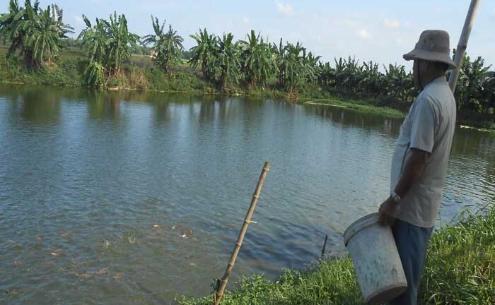 Hành trình trở về đầy bất ngờ sau bảy ngày dưới huyệt mộ