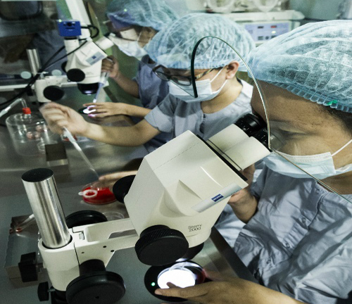 Nuôi trứng non, tạo phôi: Những đứa con mang tên... hy vọng