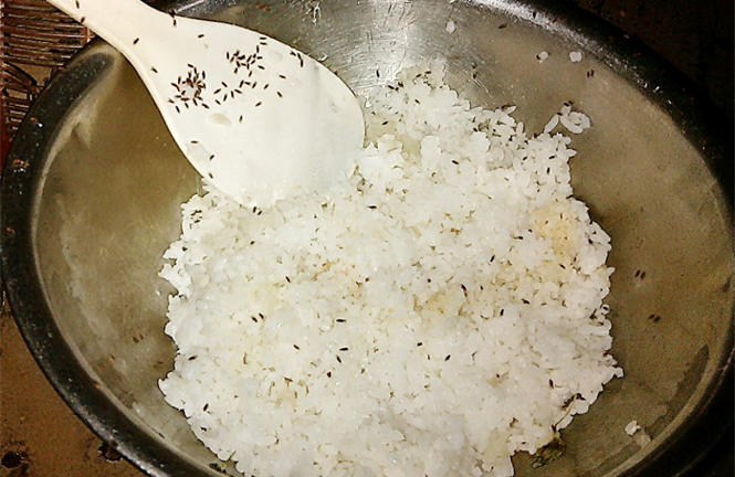 Đã xác định được côn trùng lạ tấn công nhiều hộ dân ở Bình Định