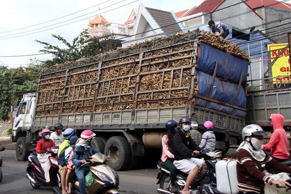Xe tải chở sắn làm sập cầu giữa trung tâm thành phố