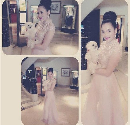 Gia tài của sao Việt nào ngang tầm sao ngoại?