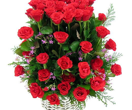 Vì sao tặng hoa hồng trong ngày lễ tình nhân?