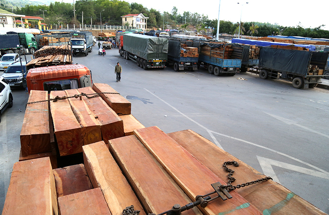 Hàng trăm xe gỗ kẹt cứng ở cửa khẩu quốc tế Lao Bảo