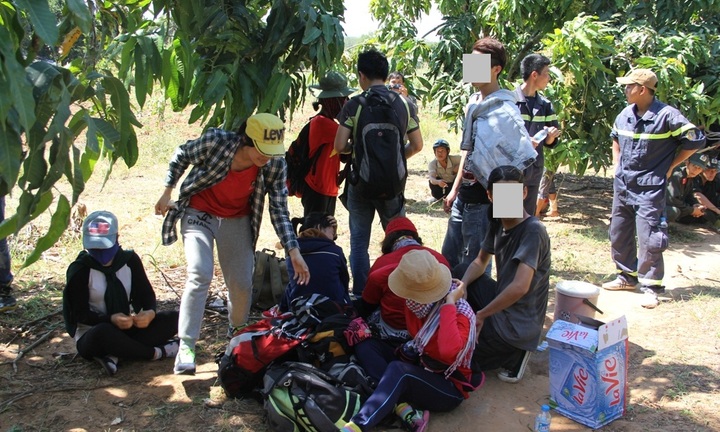 Giải cứu hàng chục sinh viên đi du lịch bụi bị mắc kẹt trên núi Bà Đen 