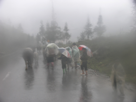 Rét đậm, rét hại, Sa Pa sắp có băng tuyết?