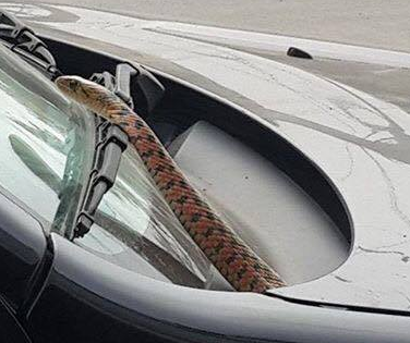 Đang lái xe bỗng nhiên phát hiện con rắn dài 1m ngoi lên trước mặt