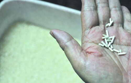 Những thông tin về gạo giả Trung Quốc khiến dư luận xôn xao