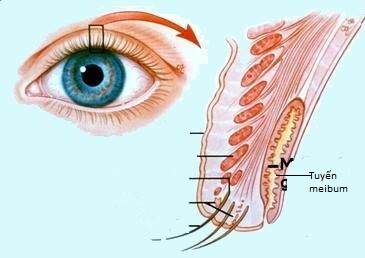 Những tác dụng ít biết của gỉ mắt
