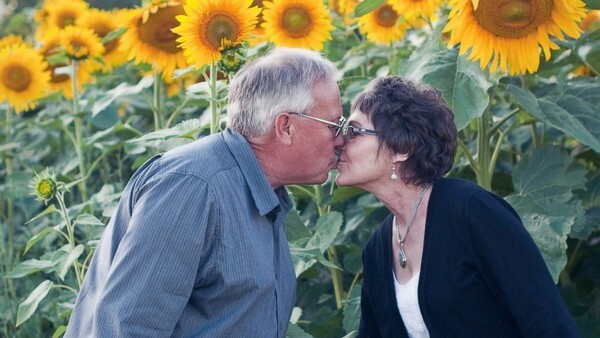 Tự tay trồng cả cánh đồng hoa hướng dương để tưởng nhớ vợ