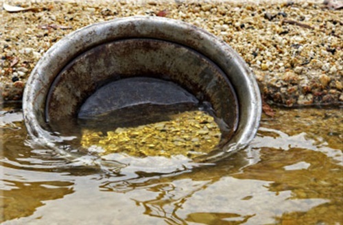 1 kg chất thải con người chứa khoảng 0,4 mg vàng