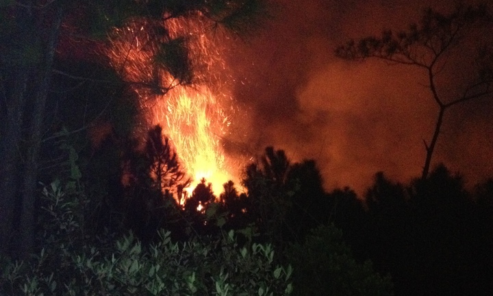 Cháy lớn, gần 10ha rừng thông 20 năm tuổi bị thiêu rụi