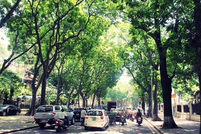 Dự báo thời tiết 10/8: Cảnh báo mưa dông phía Nam biển Đông