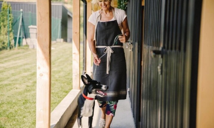 Gia đình tỷ phú tuyển bảo mẫu cho thú cưng với mức lương khoảng 3 tỷ/năm