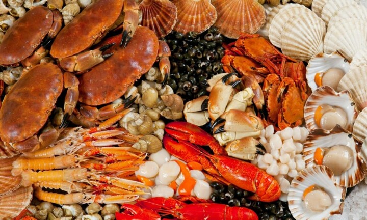 Những tiềm ẩn khi ăn hải sản sống: Không chỉ sán mà còn nhiều bệnh nguy hiểm khác