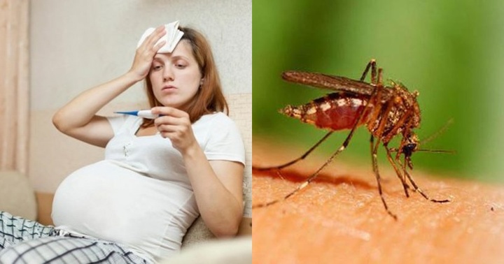 Mẹ bầu mắc sốt xuất huyết ở giai đoạn nào là nguy hiểm nhất?
