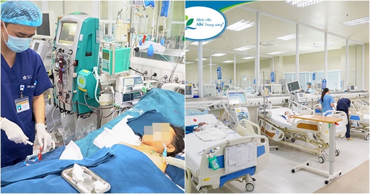 Gần 100 vết ong đốt toàn thân, bé trai 10 tuổi tử vong do suy đa dạng