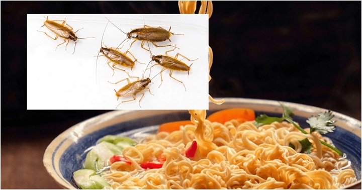 Trộn nước mì tôm thừa với thứ này rồi đặt ở góc nhà, gián sẽ một đi không trở lại