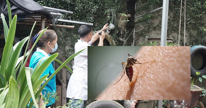 Hà Nội: Ghi nhận thêm hơn 2.600 ca mắc số xuất huyết, hơn 130 ổ dịch mới