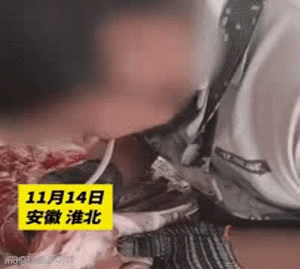 Rùng mình với màn khoe kỹ năng dùng răng để lọc xương của chủ cửa hàng thịt lợn